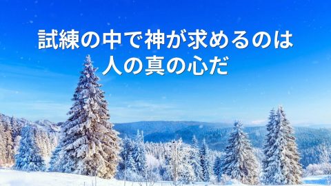 聖書の名言 試練の中によく考えるべき13節の聖句 聖書の部屋