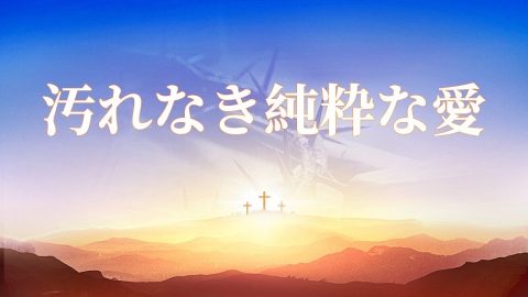 聖書の名言 愛 について 聖書の部屋