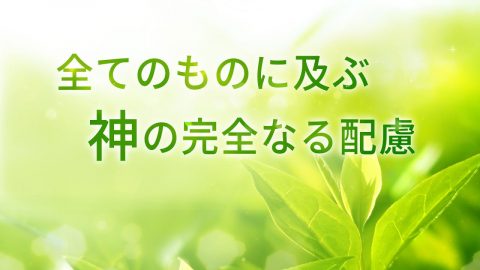 聖書の名言 愛 について 聖書の部屋